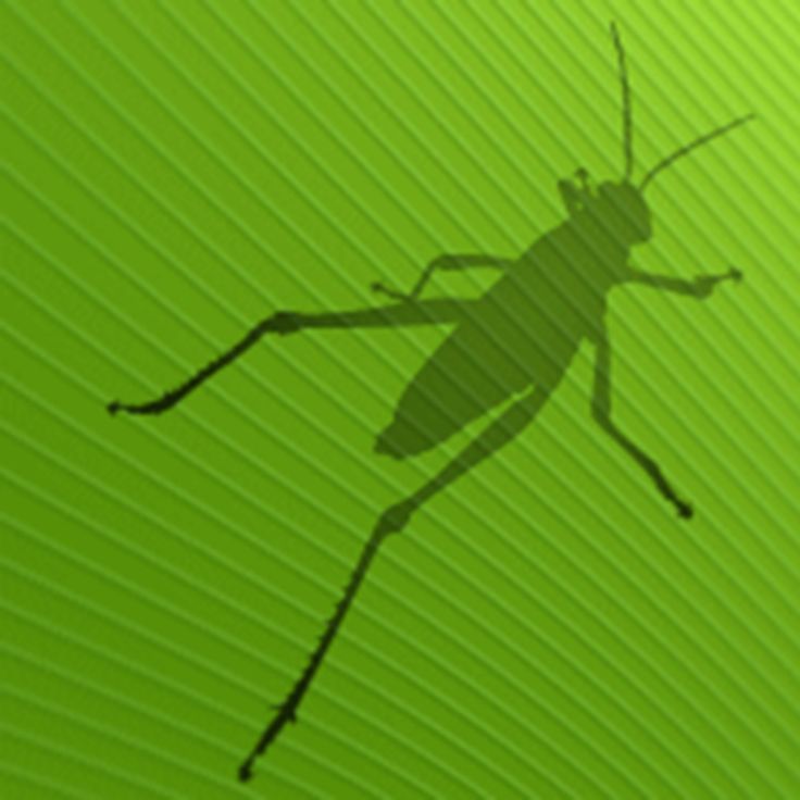 Grasshopper logo